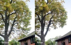 Crown Reduction Liverpool