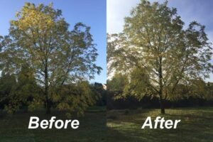 Crown Reduction Liverpool