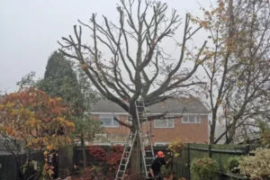 Crown Reduction Liverpool