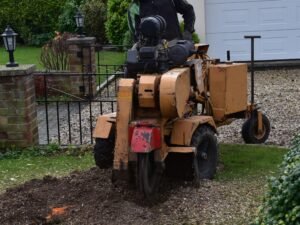Stump Grinding Liverpool