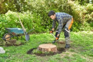 Deadwood Removal Liverpool