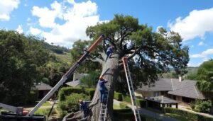 Tree Removal Liverpool