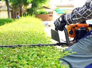 Hedge Trimming Liverpool