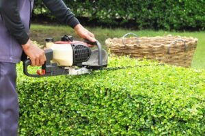 Hedge Trimming Liverpool