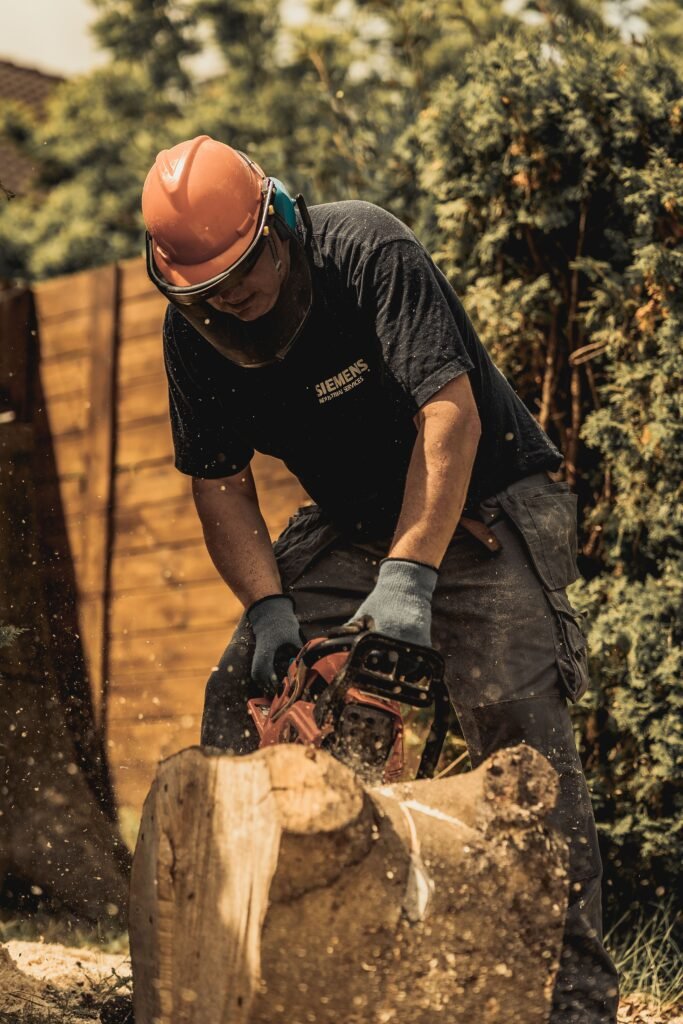 Tree Surgeons Liverpool